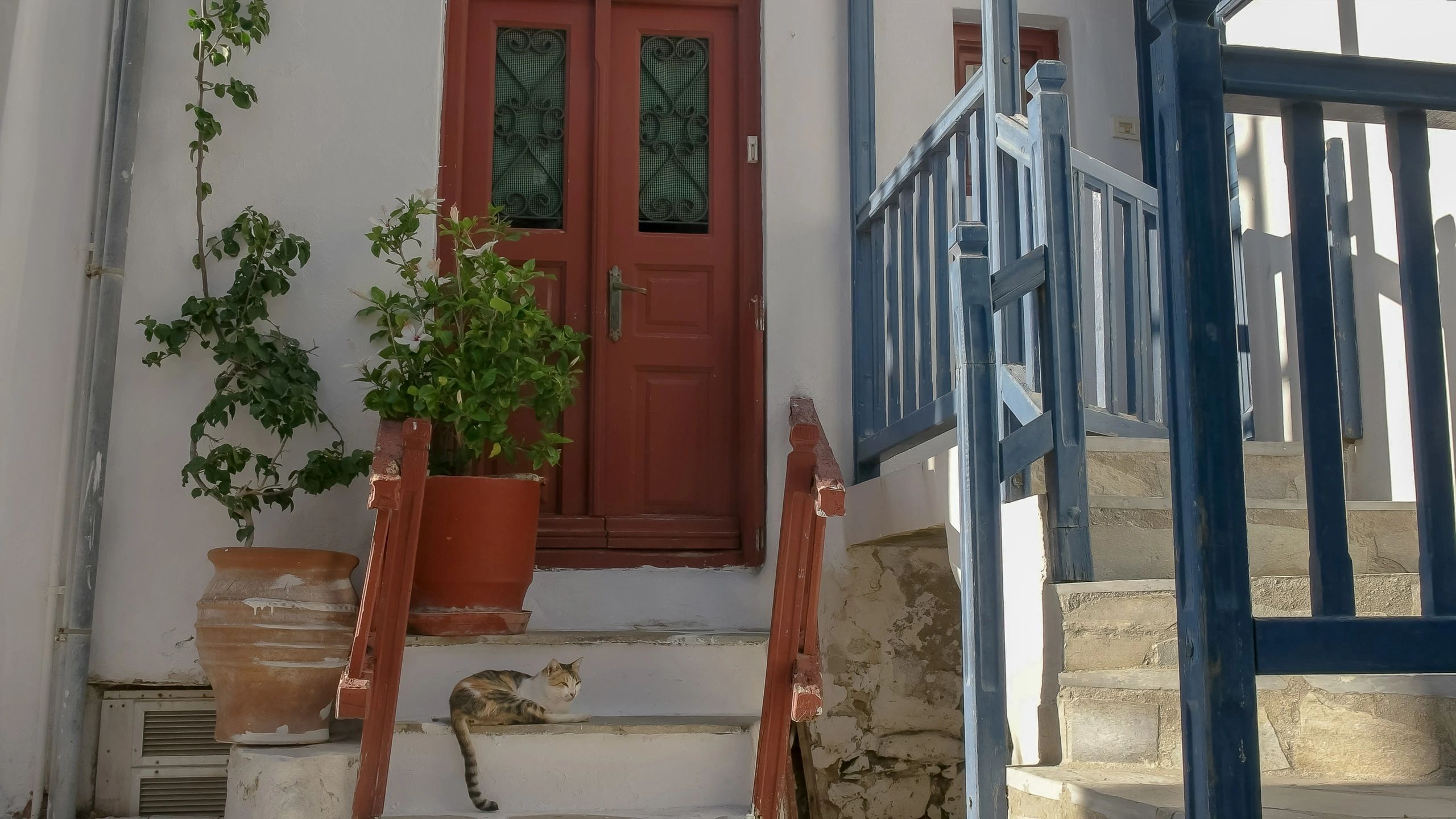 Hospitality scene in Greece